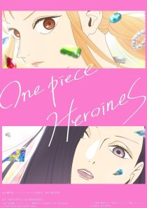 ONE PIECE novel HEROINES